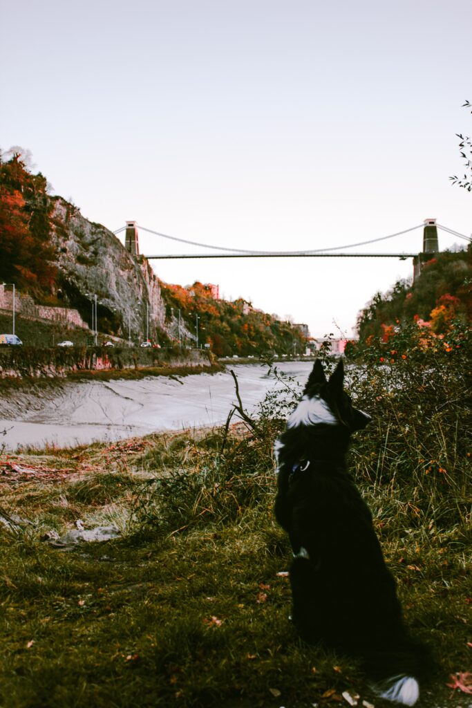 The best walks in bristol