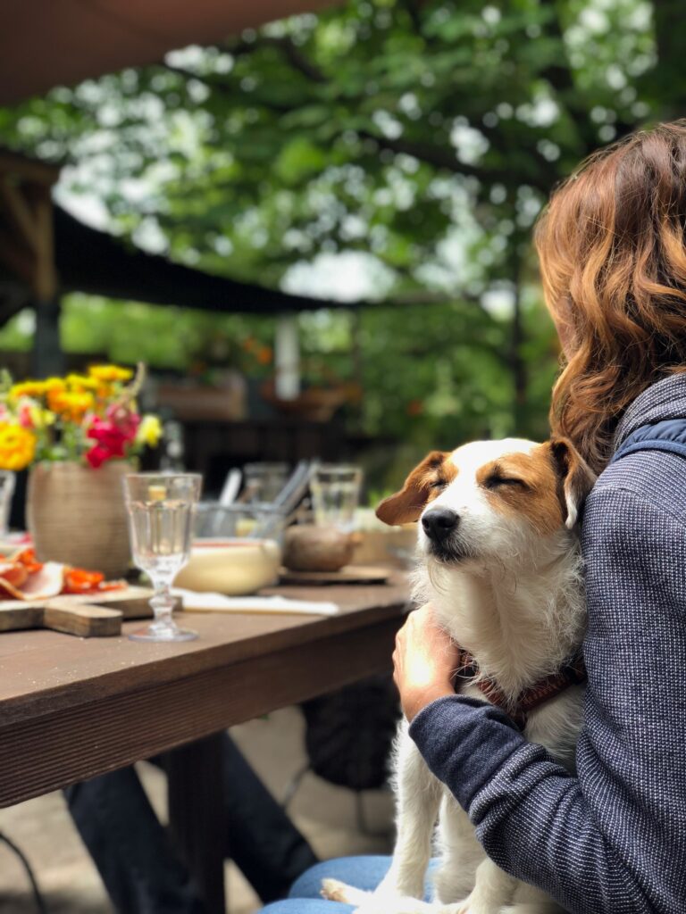 dog friendly restaurant bristol