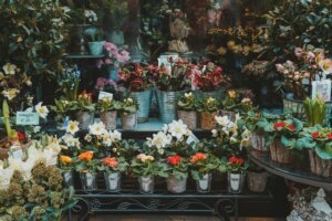 The Best Flower Shops In Bristol