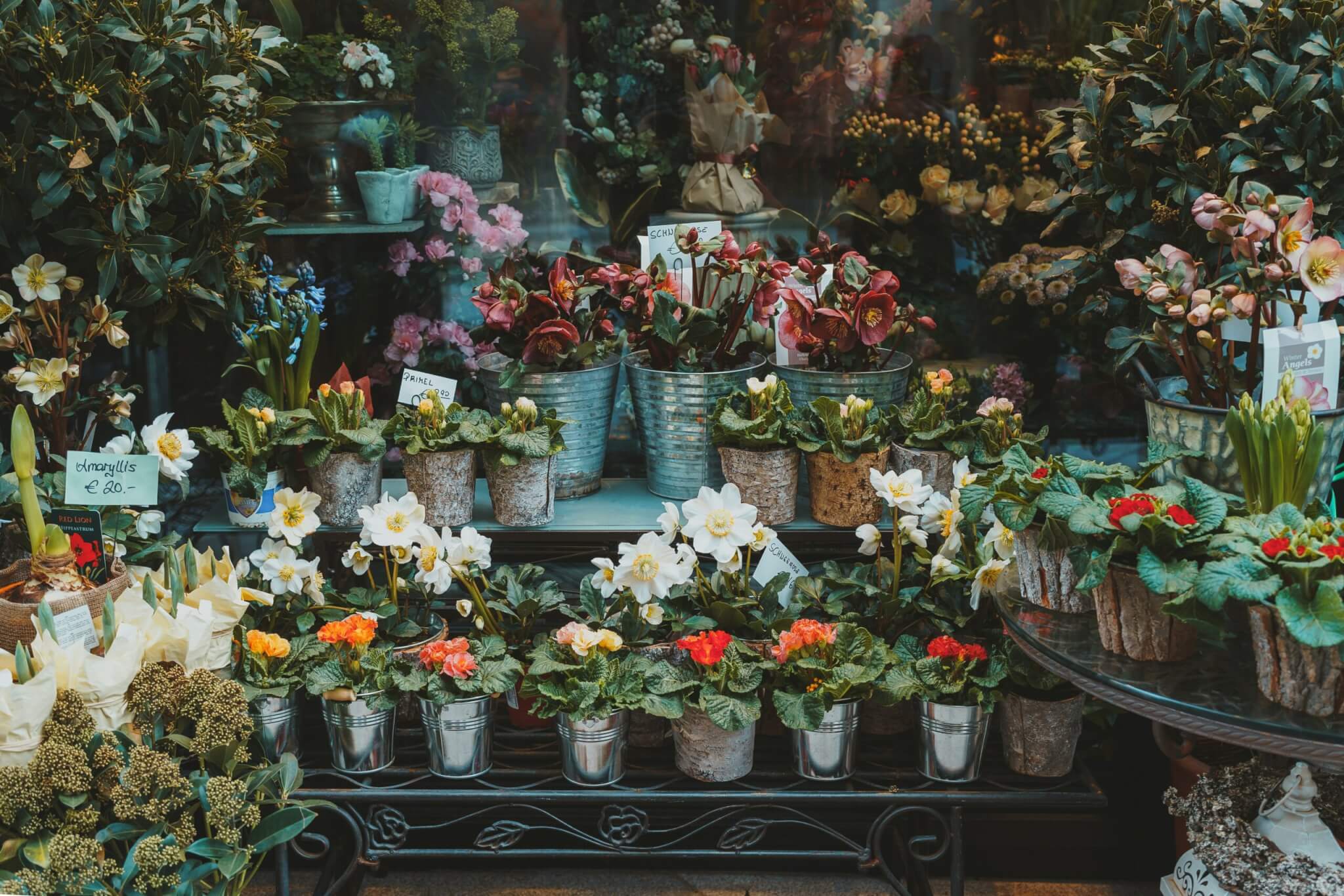 The Best Flower Shops In Bristol